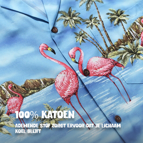 Flamingo in het Water