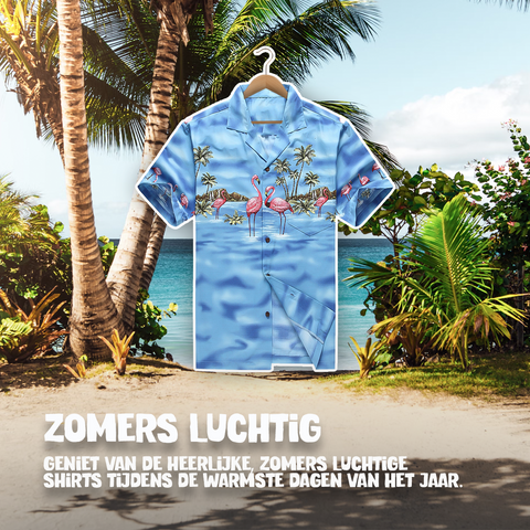 Flamingo in het Water