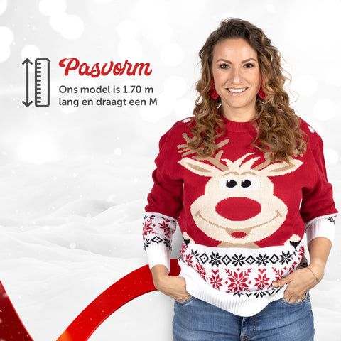 Weihnachtspullover Rudolf