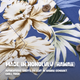 Lanikai Blauw