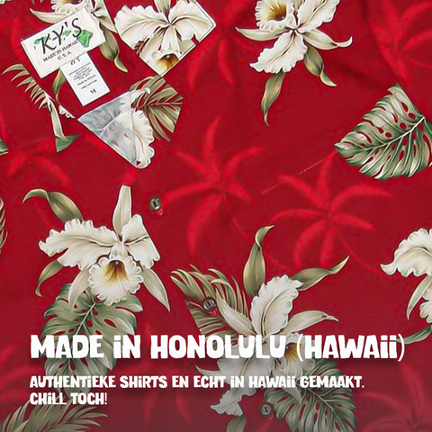 Hibiscus Rood