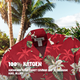 Hibiscus Rood